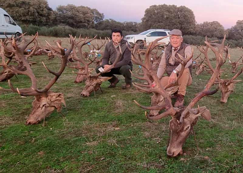 Resultado Montería Navalahiguera 2024 Montrimago Sur